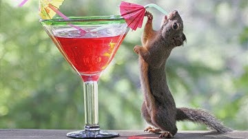 Nier Replicant Walkthrough [Part 9][The Ballad of the Twins][English Patched][HD]