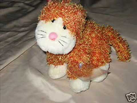 cheeky cat webkinz