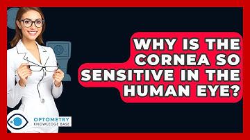 Why Is The Cornea So Sensitive In The Human Eye? - Optometry Knowledge Base