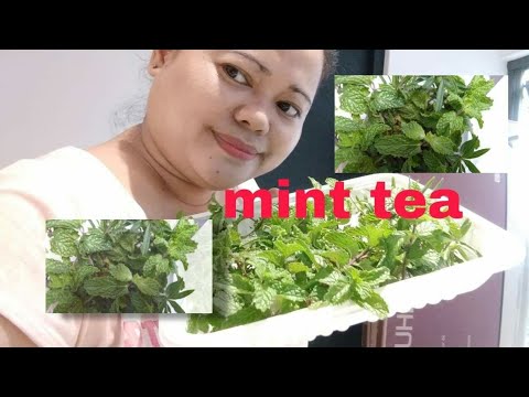 #drinkingminttea Paano ako gumawa nang mint tea galing sa garden |Chawel Sajonia