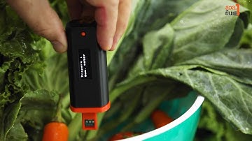 สจล.ยืน 1 Ep.25 "K Veggi Screen" นวัตกรรมตรวจสารตกค้างในพืชผัก