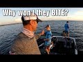 Perfect Fishing Weather at Lake Toho | Why Won&#39;t They BITE?