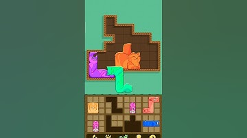 puzzle cat game fun cat game #shots #cat