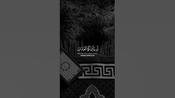 تلاوه ماتيسر من آيات سوره الزمر بصوت القارئ #مشاري_العفاسي #ارح_قلبك #قران_كريم #تلاوة_خاشعة #راحة