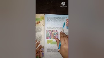 Class 4, Moral Values