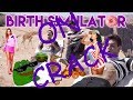 Giving Birth On A Mountain Top On Crack|Dolan Twins on Crack