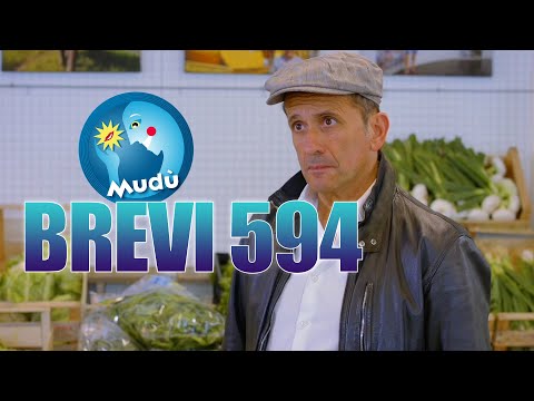 Mudù - Le Brevissime 594