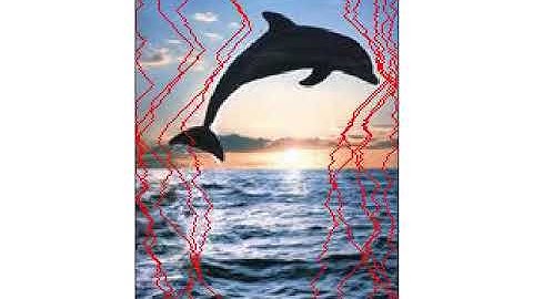 Seam-Carving | Context-aware image resizing | Dynamic Programming | python