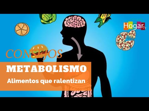 Alimentos que ralentizan el metabolismo - HogarTv producido por Juan Gonzalo Angel Restrepo