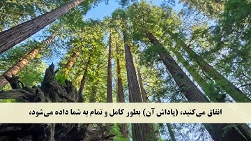 جز 3 ( سوره بقره از آیه 270 تا 274 ) با ترجمه فارسی صوتی و تصویری