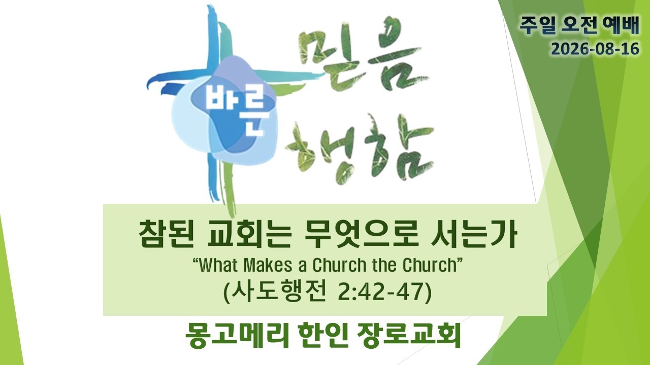 참된 교회는 무엇으로 서는가 설교 영상