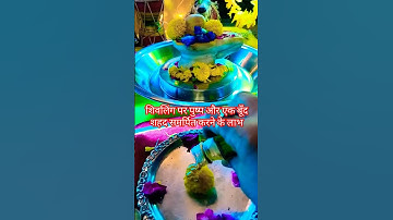 शिवलिंग पर शहद और एक पुष्प समर्पित करे के लाभ #upay  #shiv#trendingshorts  #pradeepmishrajikeupay