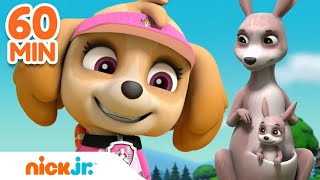 PAW Patrol Celebrates Mother's Day Rescues! w/Skye, Chase & Marshall | 1 Hour Compilation | Nick Jr.