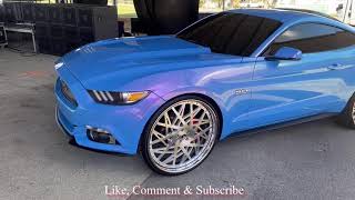 Page Of Toyz : Outrageous 5.0 Mustang On 24inch Forgiato Rims