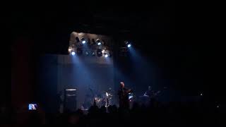 Silent Hedges live