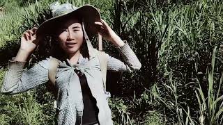 Kuv Tus Muam Awb Mu De Zaub Nyuj Rau Nyuj Noj Os. 17072021