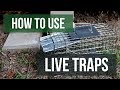 How To Use Live Traps (4 Easy Steps)