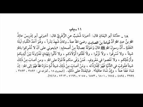 18 حديث بايعوني على ان لا تشركوا بالله شيئا صحيح البخاري