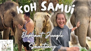 KOH SAMUI: Elephant Jungle Sanctuary, encounters with gentle giants!