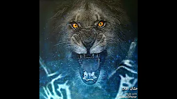 ناسي الزمان اتغيرو محمود عبد العزيز 