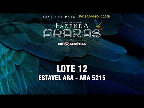 LOTE 12 ARA 5215