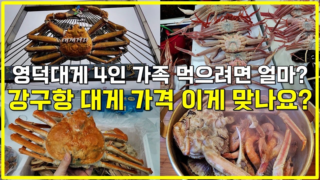 영덕 강구항까지 가서 러시아산 대게 사는 이유 l 요즘 동광어시장 영덕대게 박달대게 1kg 가격 시세 수율 포장 찐후기 ...