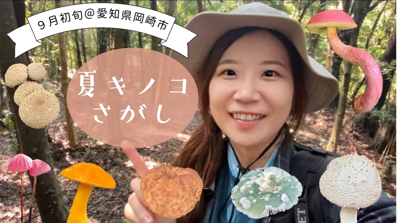 【夏キノコ】台風通過後の森で夏キノコ探し🍄＠愛知県岡崎市