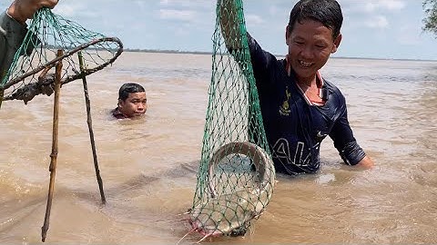 Hôm nay bội thu Cá Ngát và Tôm Càng Xanh về nấu lẩu cơm mẻ ngon ngất ngây | Cù Lao Dung Vlogs #346