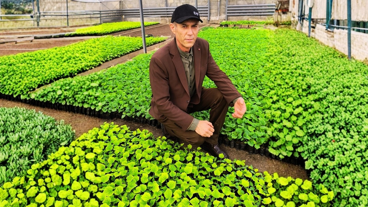 БОДРИНГ КЎЧАТЛАРИМИЗ АХТАЧИДА...