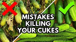 The 10 Biggest Mistakes Every Gardener Makes Growing Cucumbers