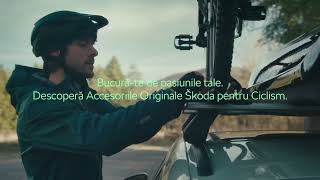 Drumul te cheamă – răspunde cu încredere!