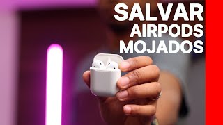 REPARAR AirPods después de 12 horas en el AGUA