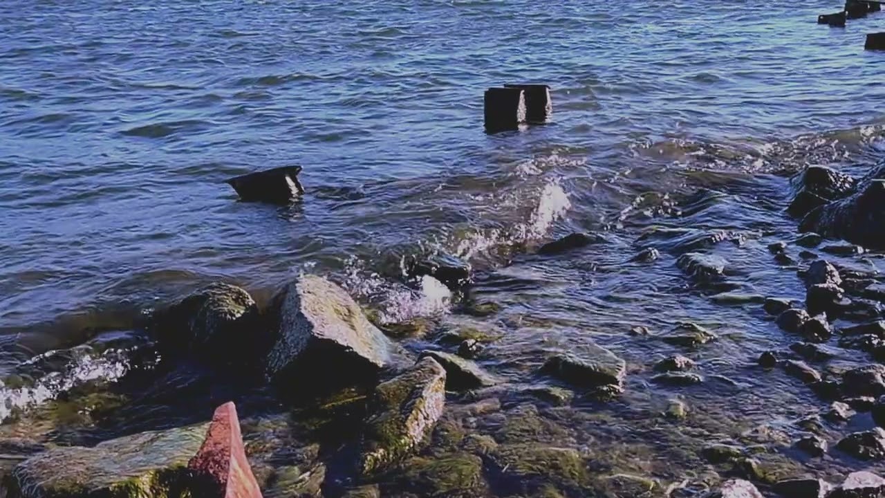 Esben Willems - Prime Matter