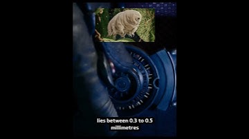 Did you know that in "ANTMAN"...