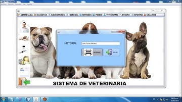 SISTEMA DE VETERINARIA  EN JAVA NETBEANS