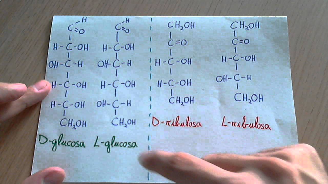 hidratos de carbono clasificacion y nomenclatura
