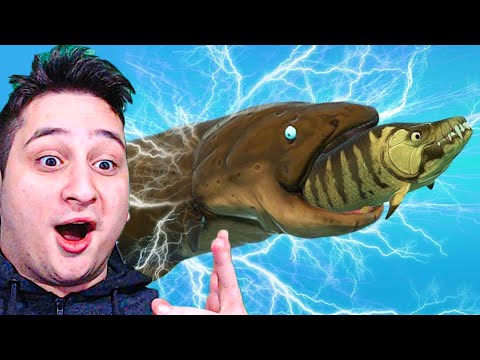 ელექტრო თევზი ჭამე და გაიზარდე Feed and Grow Fish