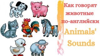 Как говорят животные на английском/  Animals&#39; sounds