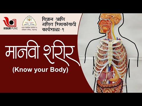 मानवी शरीर (Know your Body)