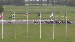 Vidéo de la course PMU PRIX LOPP 3