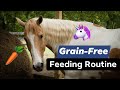 What I Feed My GRAIN-FREE, Barefoot Horses