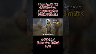 立つと3m近く!? 今話題のクマ、実は日本最大の陸生動物だった!