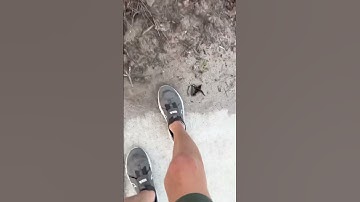 How to destroy a ant hill #walk #things #anthill #ant #insects