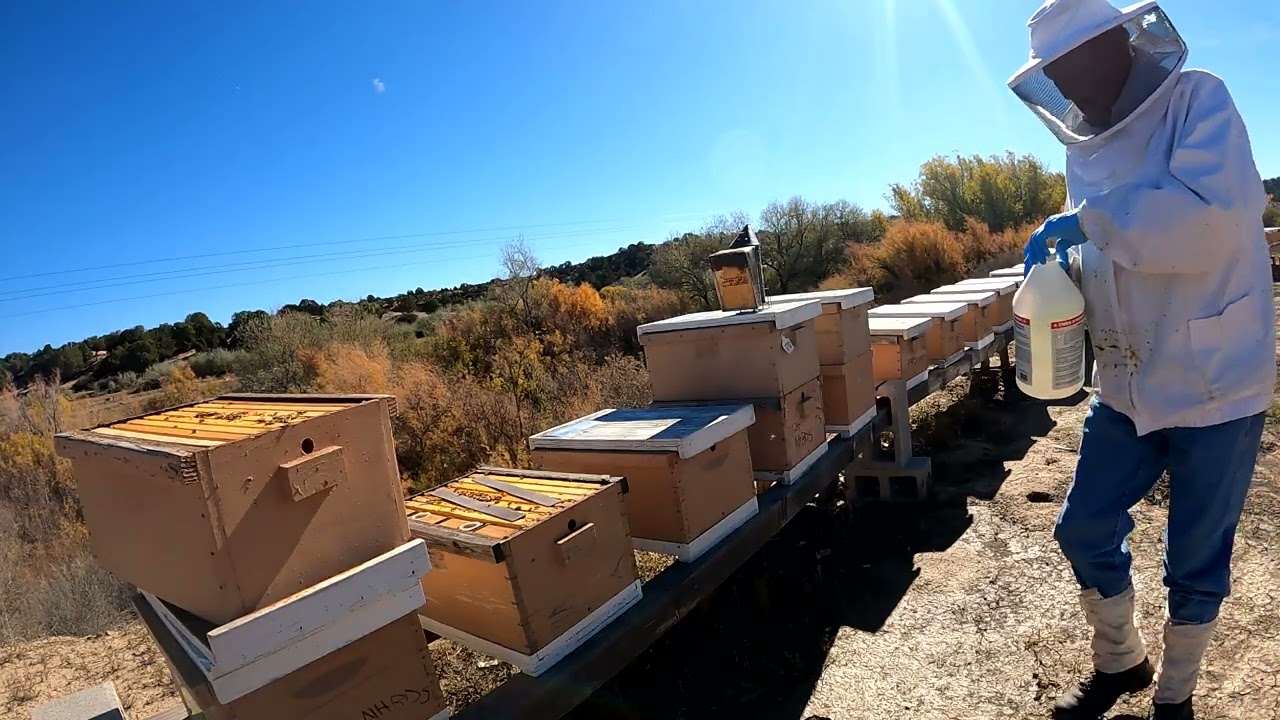 Feeding and treating with 1st treatment.