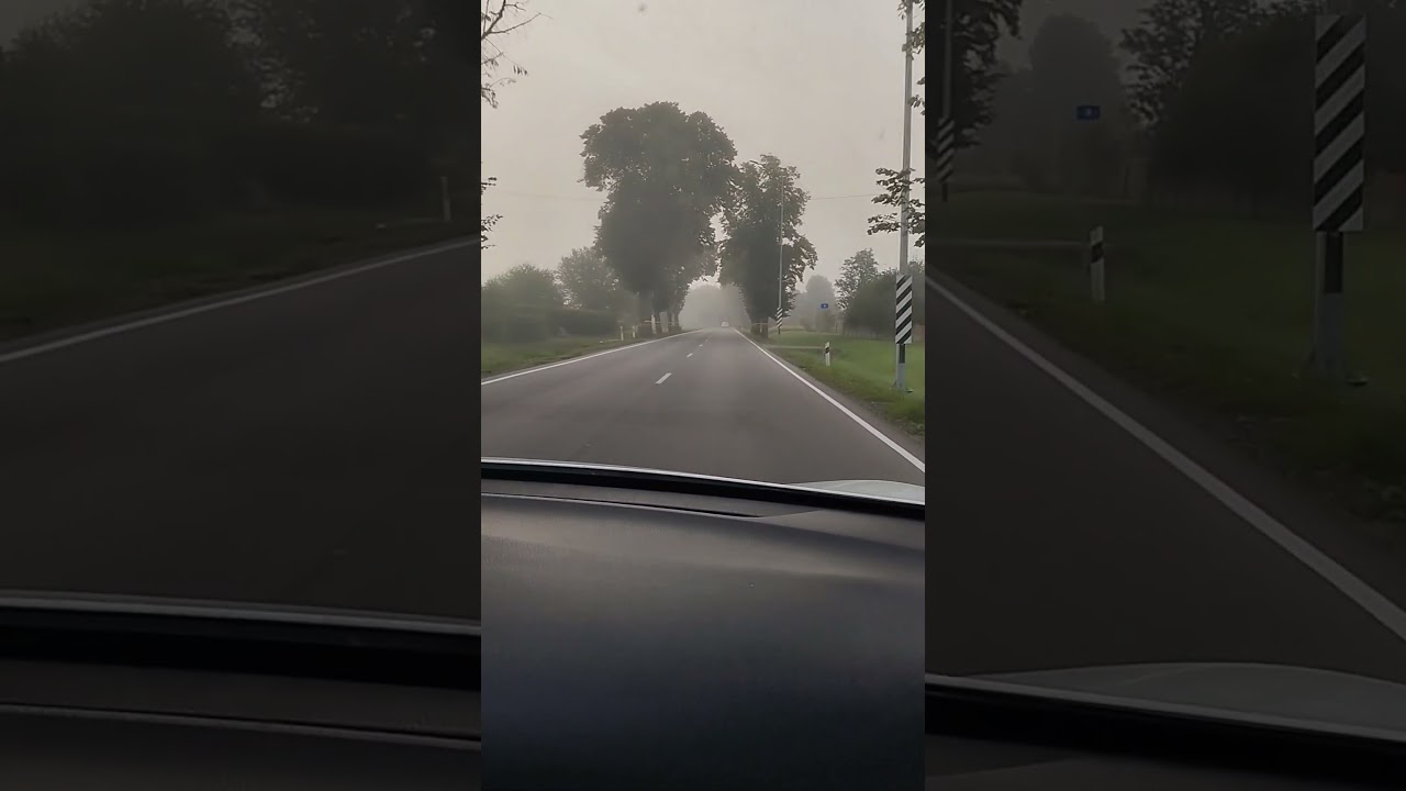 Аллеи Лабиау😍