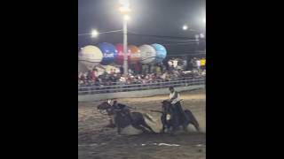 CAVALO RENAN TOBIAS SAIU ANTES😳😳😳#x1vaquejadanoticias