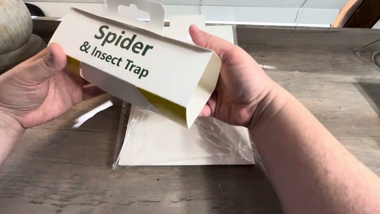 Spider insect glue traps 
