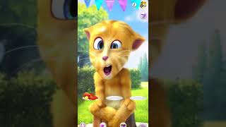 Talking Ginger Funny Video