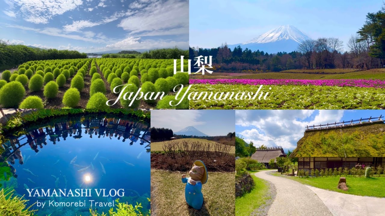 【山梨観光Vlog】富士五湖をひと巡り、自然と絶景とグルメを満喫! 山梨旅は〝楽しい″がいっぱい! ASMR
