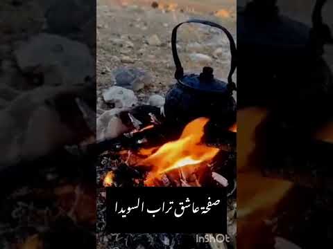 ياريت يادهر الشقا ماجيت 